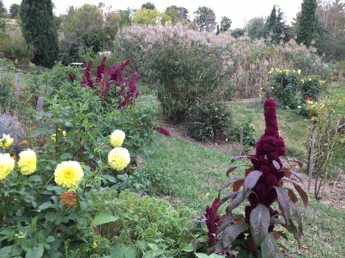 La Source, Vegetarian Guest House Chabeuil Екстер'єр фото