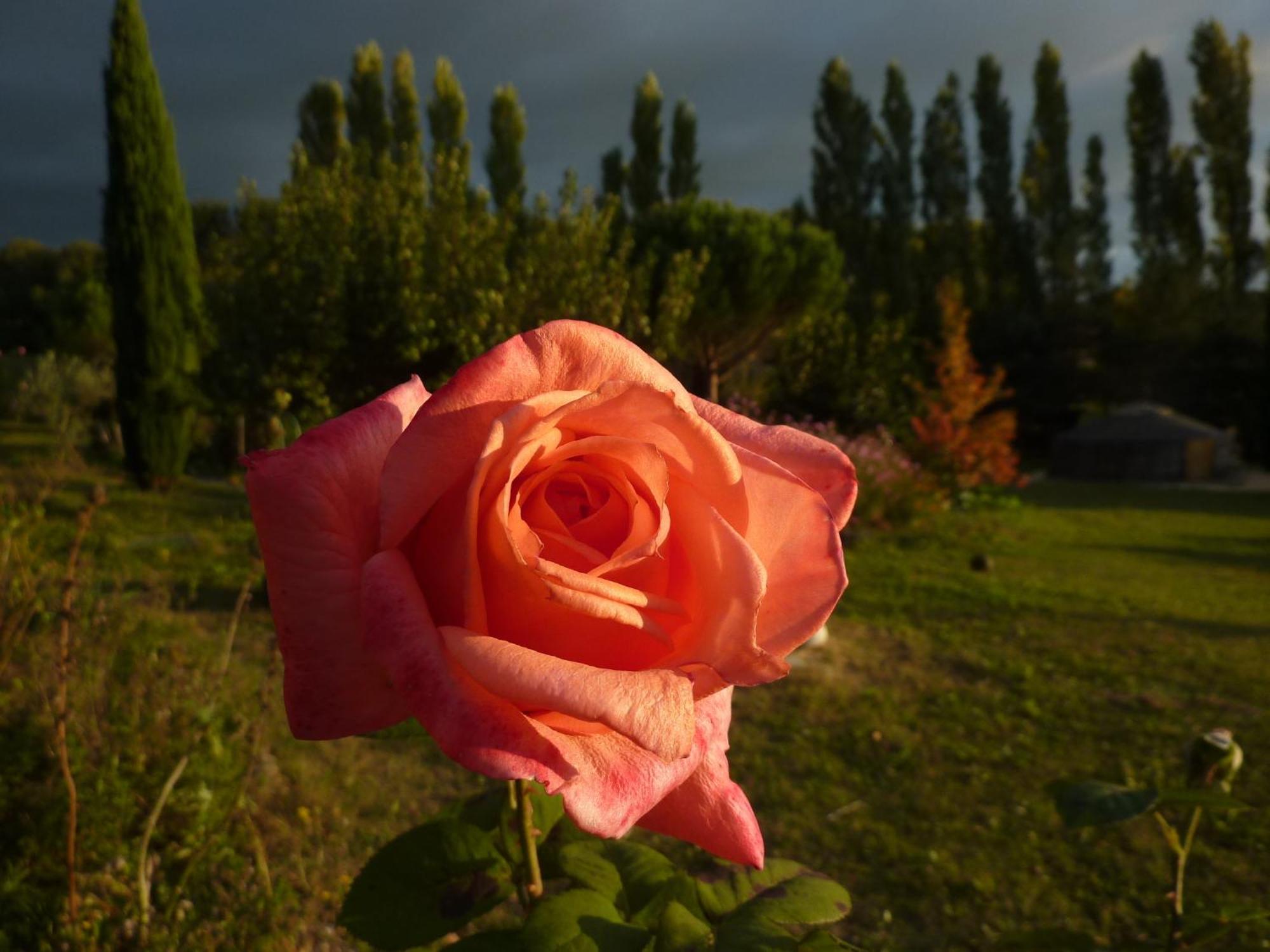 La Source, Vegetarian Guest House Chabeuil Екстер'єр фото