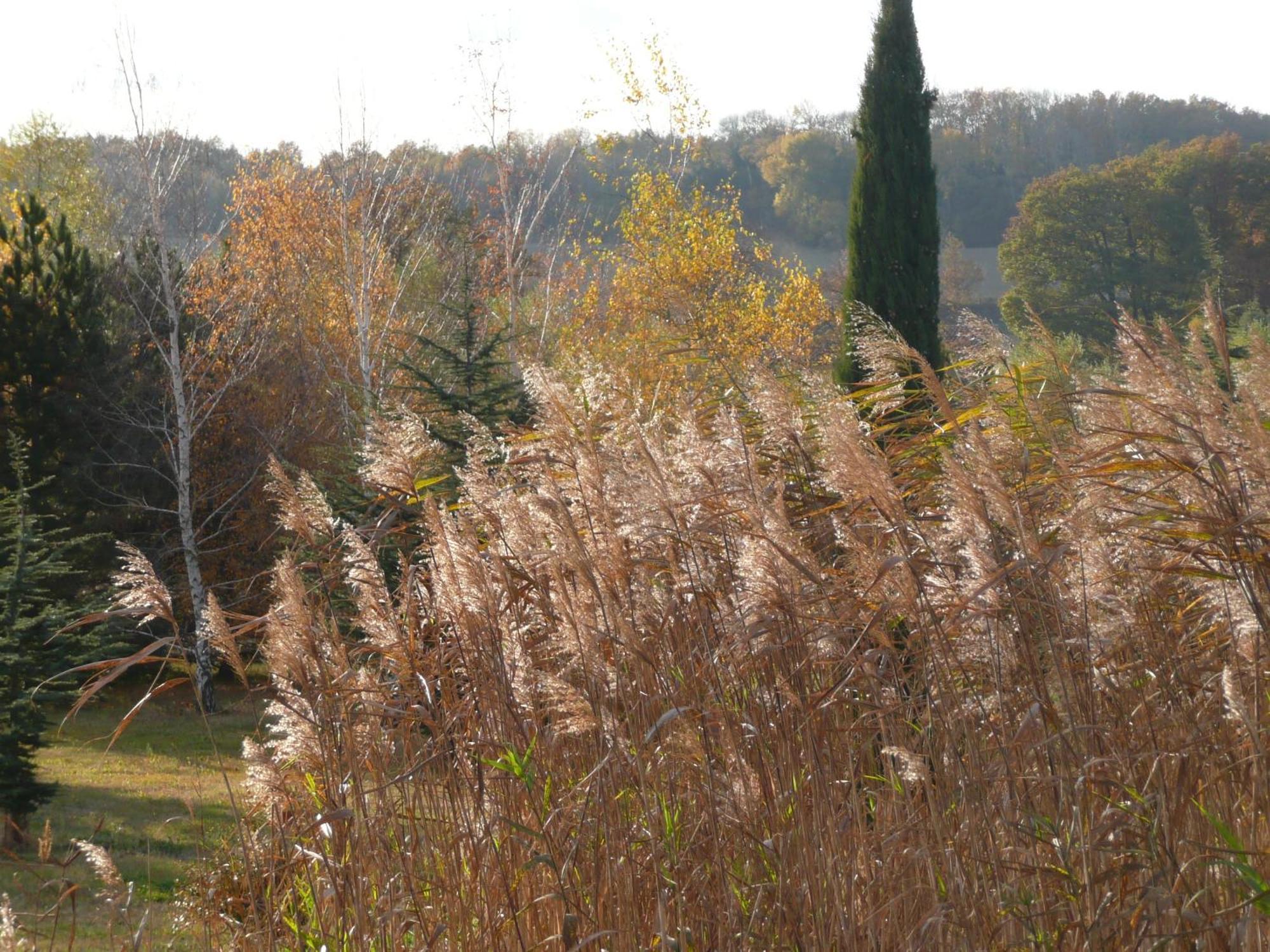 La Source, Vegetarian Guest House Chabeuil Екстер'єр фото