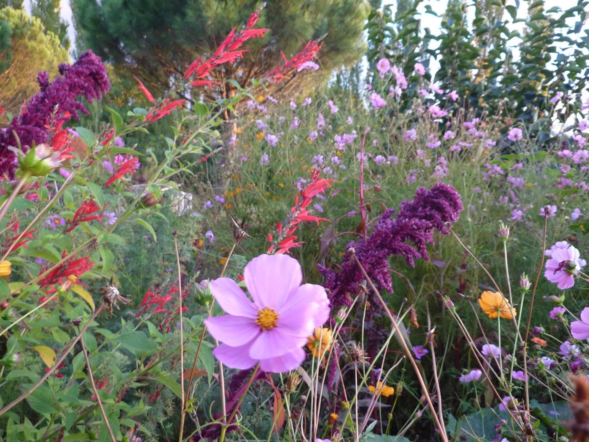 La Source, Vegetarian Guest House Chabeuil Екстер'єр фото