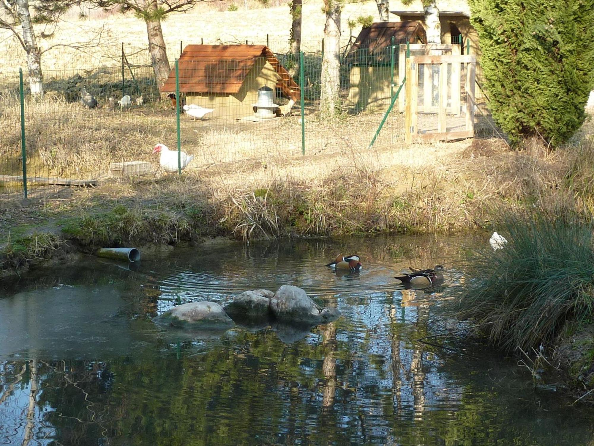 La Source, Vegetarian Guest House Chabeuil Екстер'єр фото