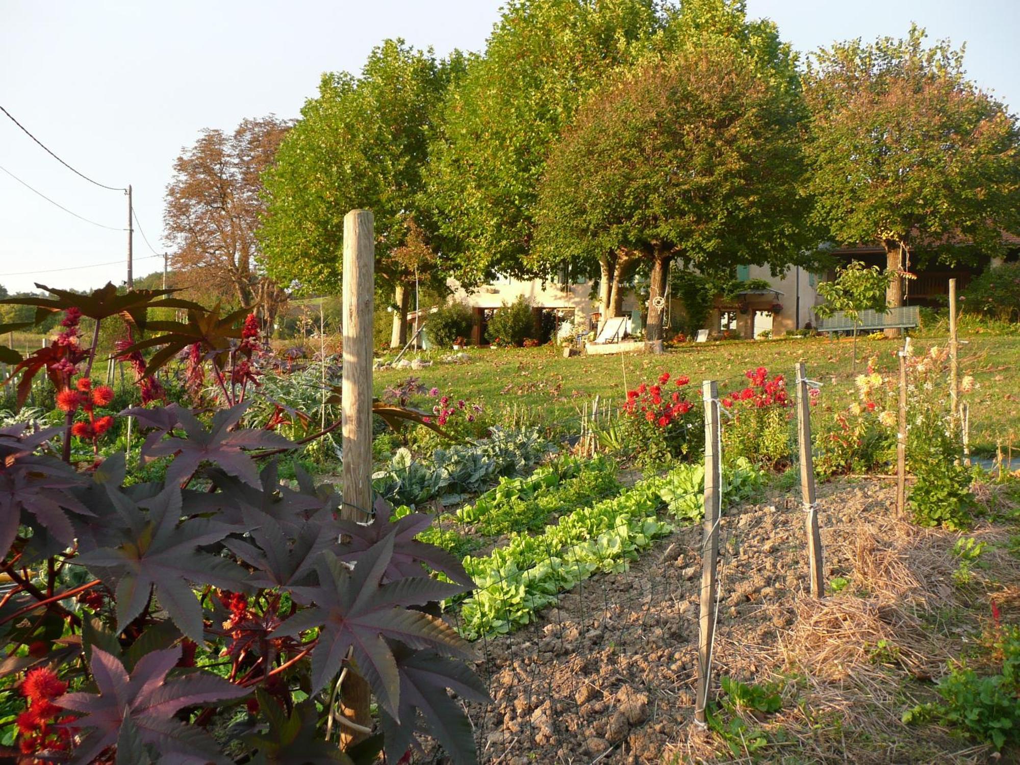 La Source, Vegetarian Guest House Chabeuil Екстер'єр фото